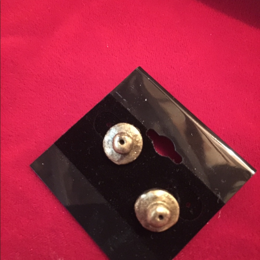 Terracotta earrings